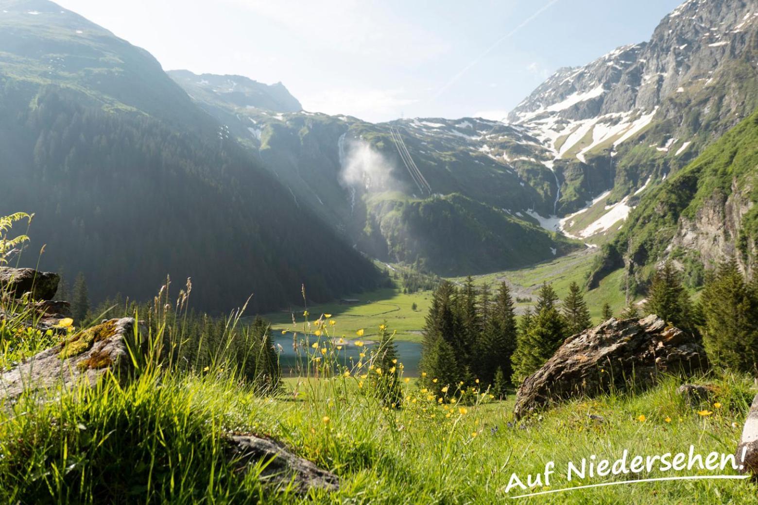 Ferienwohnung Auf Niedersehen - 8 Personen - Kitzbuehler Alpen - Hoehe Tauern Np Hollersbach im Pinzgau Eksteriør bilde